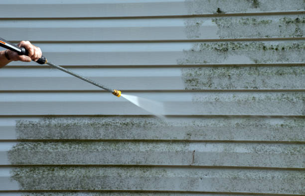 Animal Enclosure Cleaning in Athens, TX